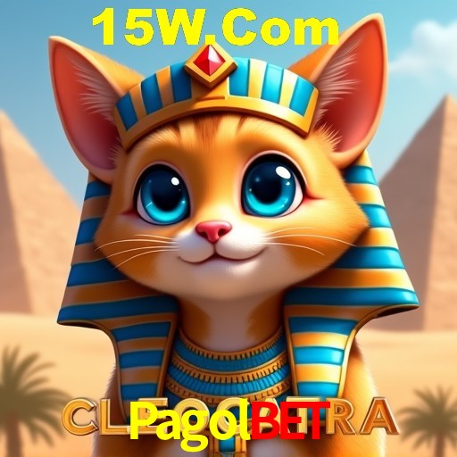 Pagolbet Rio de Janeiro - Bonus Terms